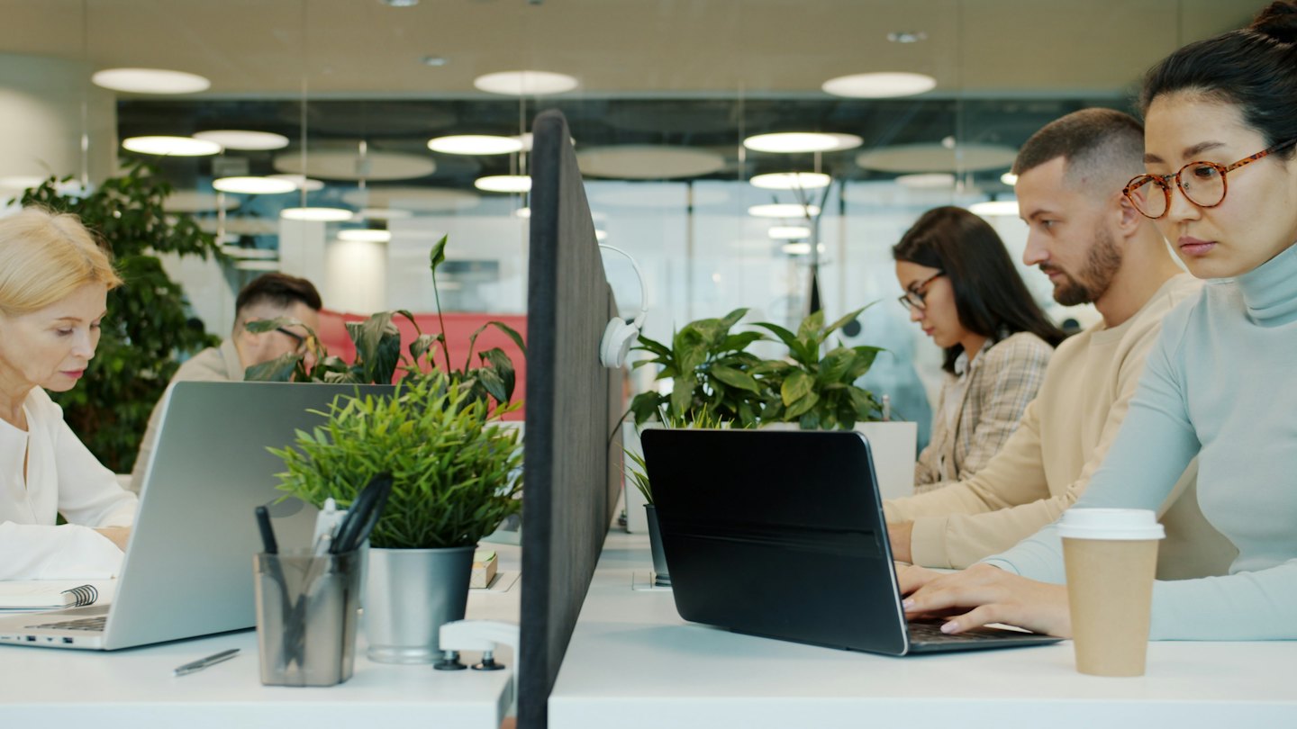 Professionisti diversi collaborano al computer in un ufficio luminoso e pieno di piante.